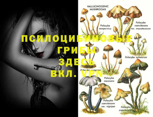 амфетамин Верея
