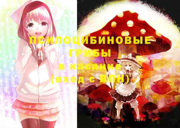 тгк Верхний Тагил